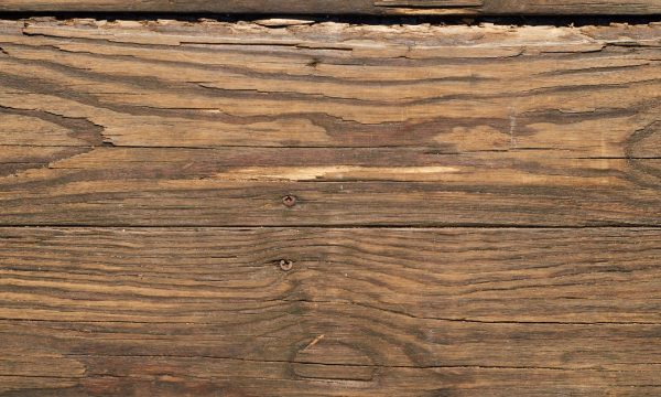 What Are The 3 Types Of Wood